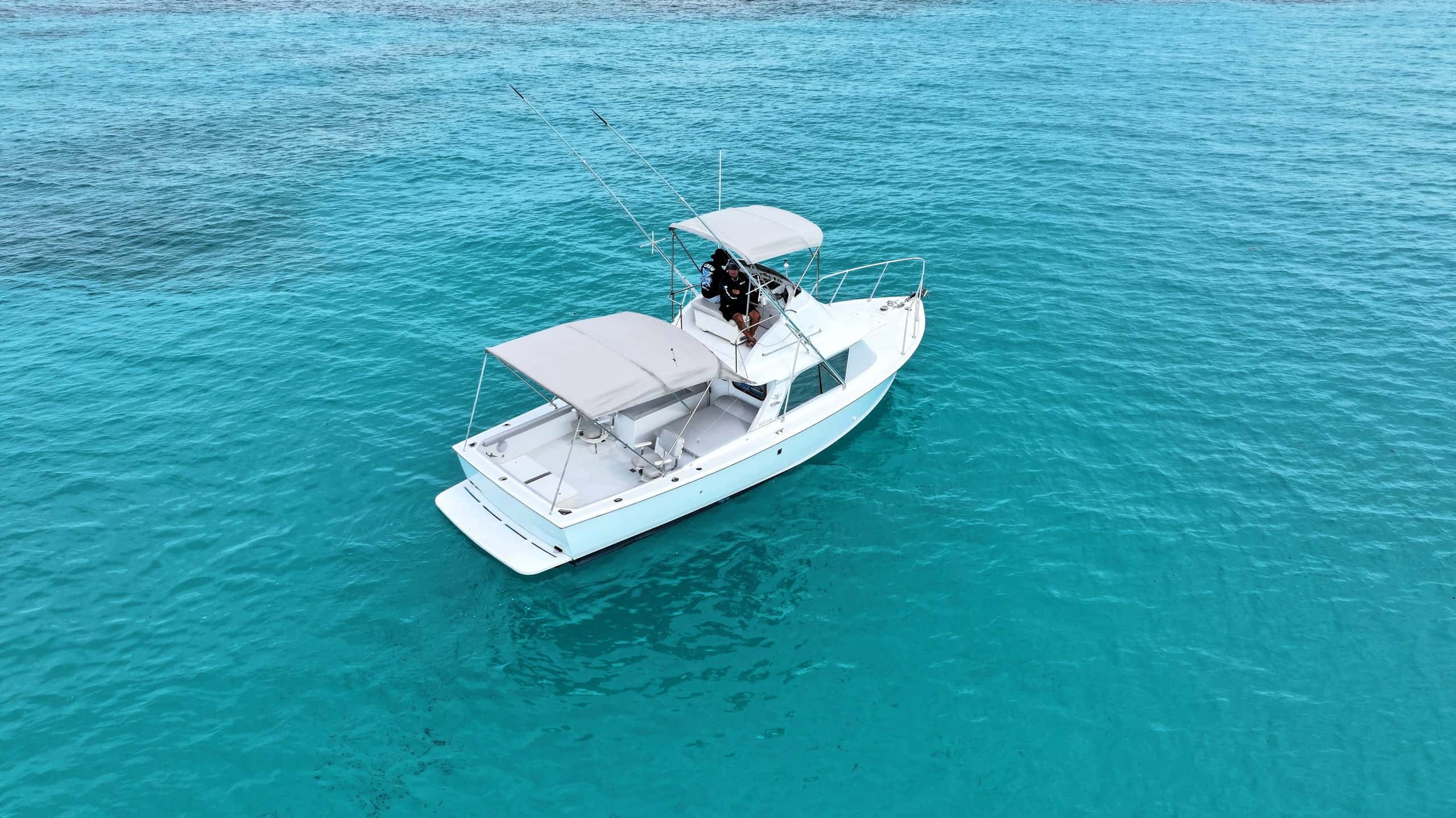 31ft Classic Sportfisher Charter