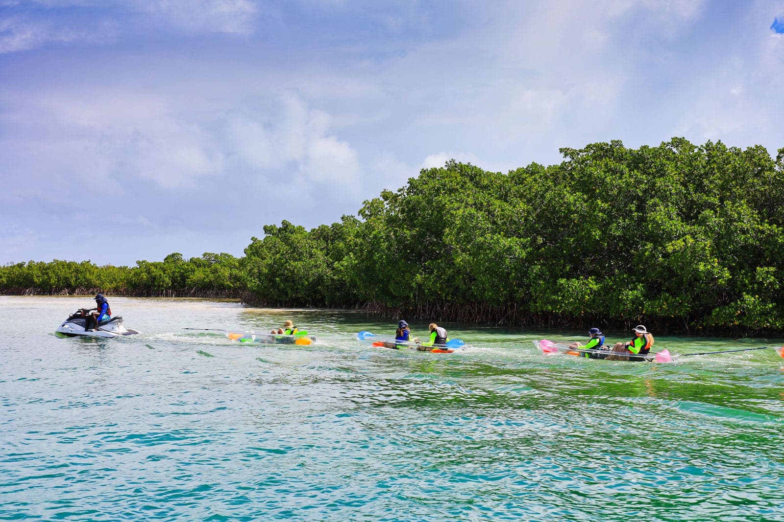 Clear kayak mangrove tour Turks and Caicos