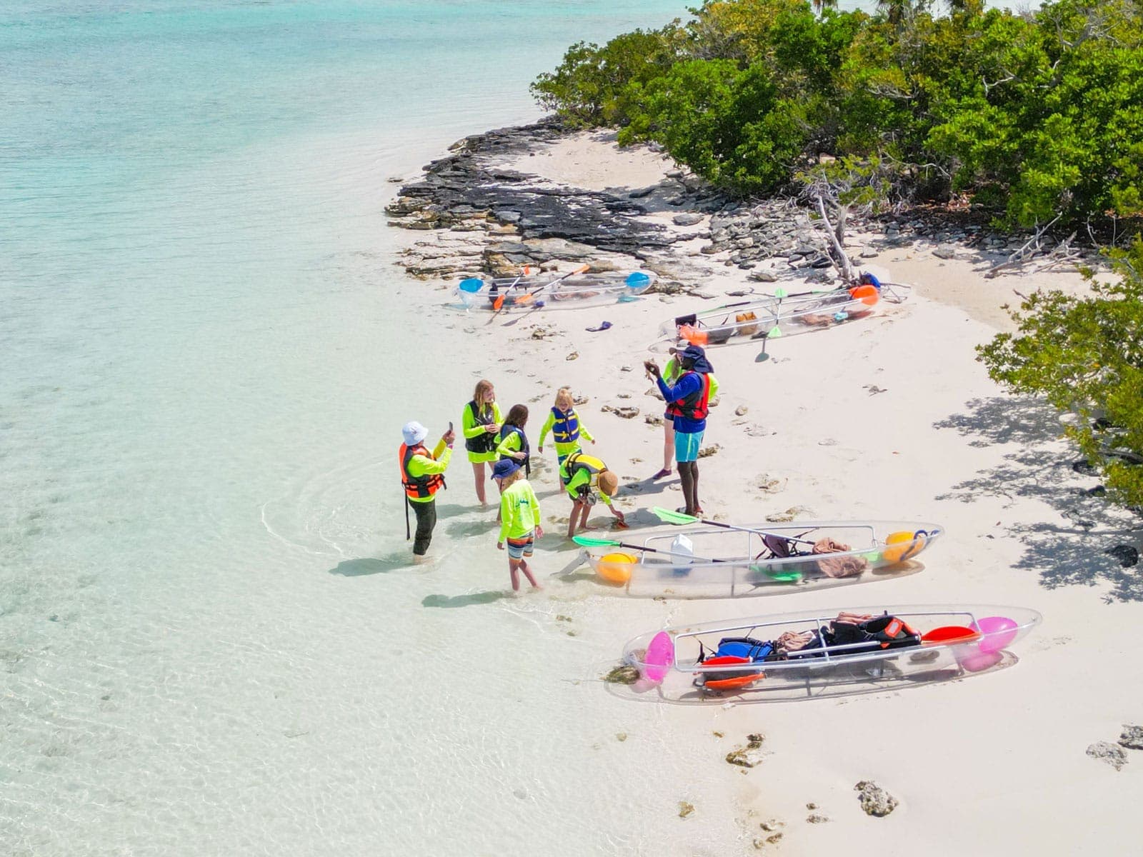 Clear kayak mangrove tour Turks and Caicos