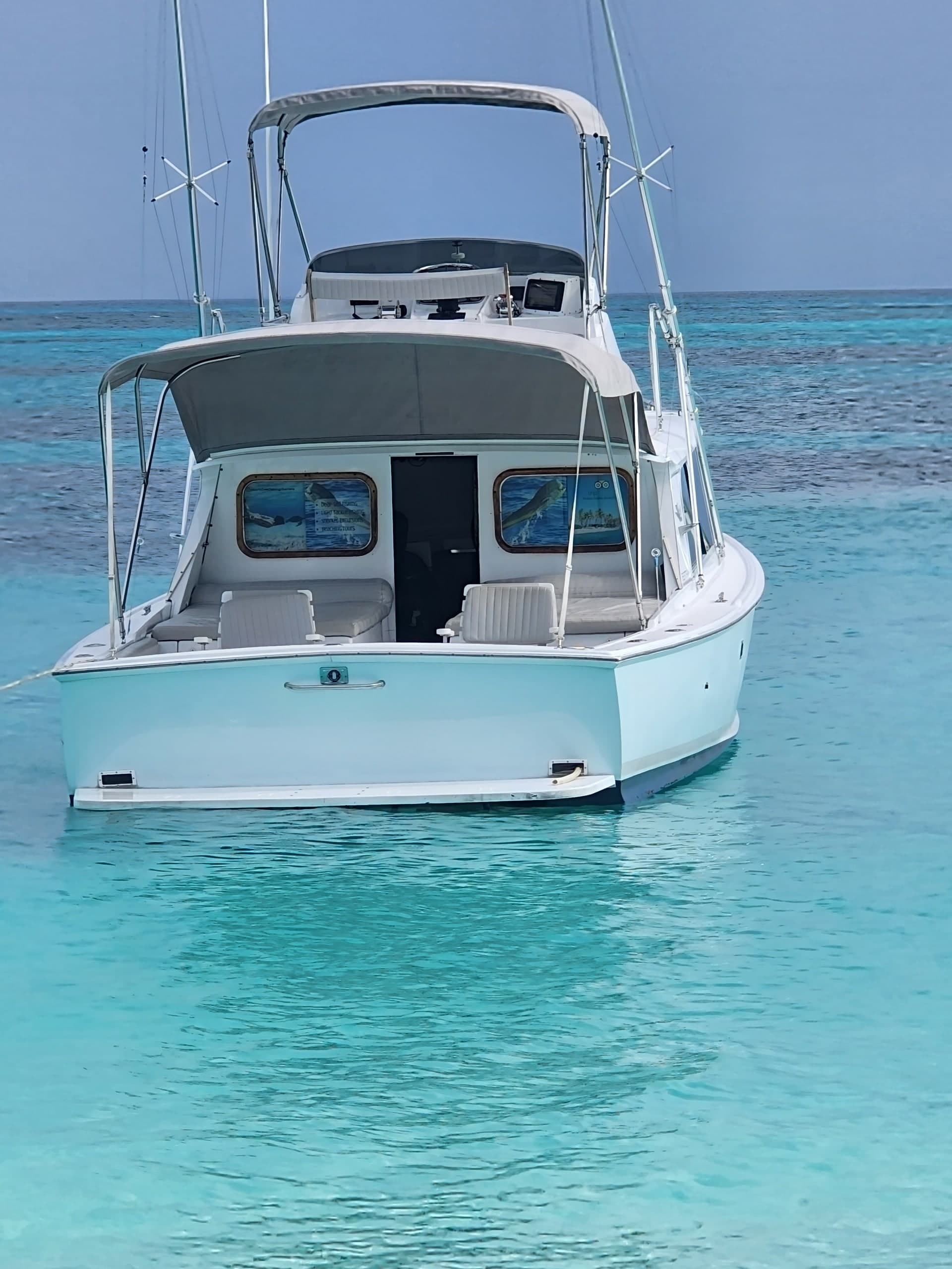 31ft Classic Sportfisher Charter — photo 8