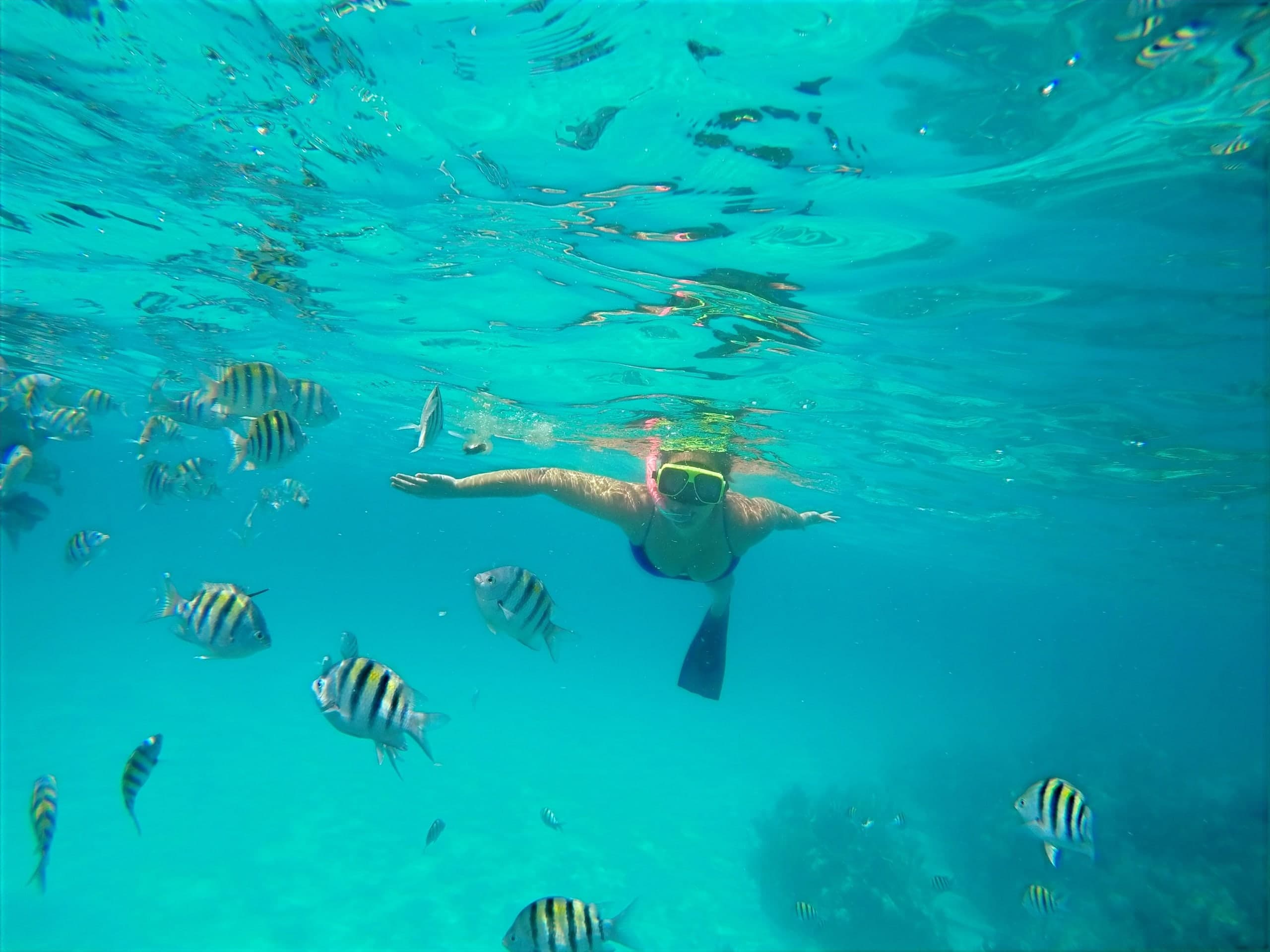 41ft Speedboat Charter to Northern Exuma — photo 7