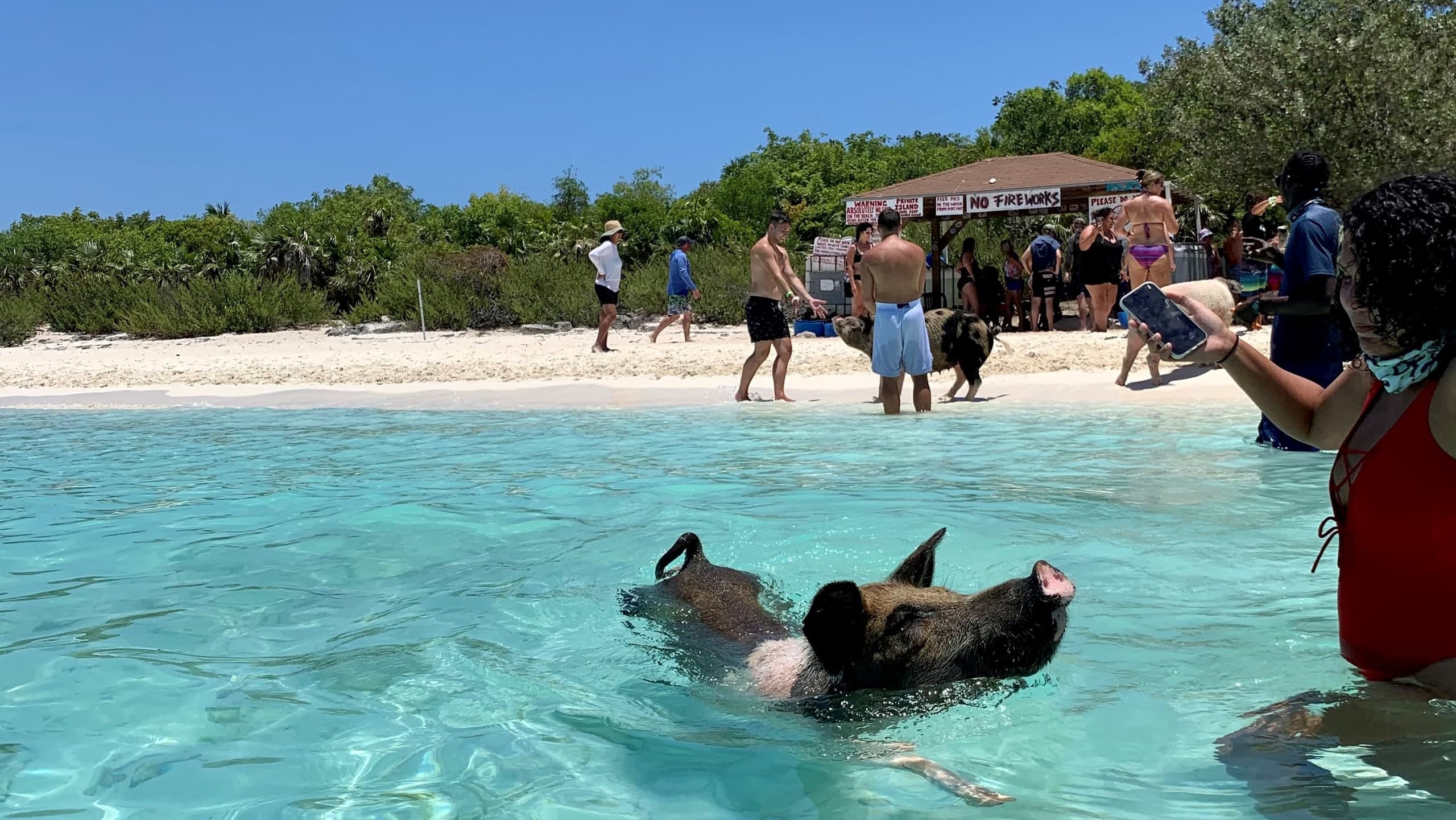 41ft Speedboat Charter to Northern Exuma — photo 33