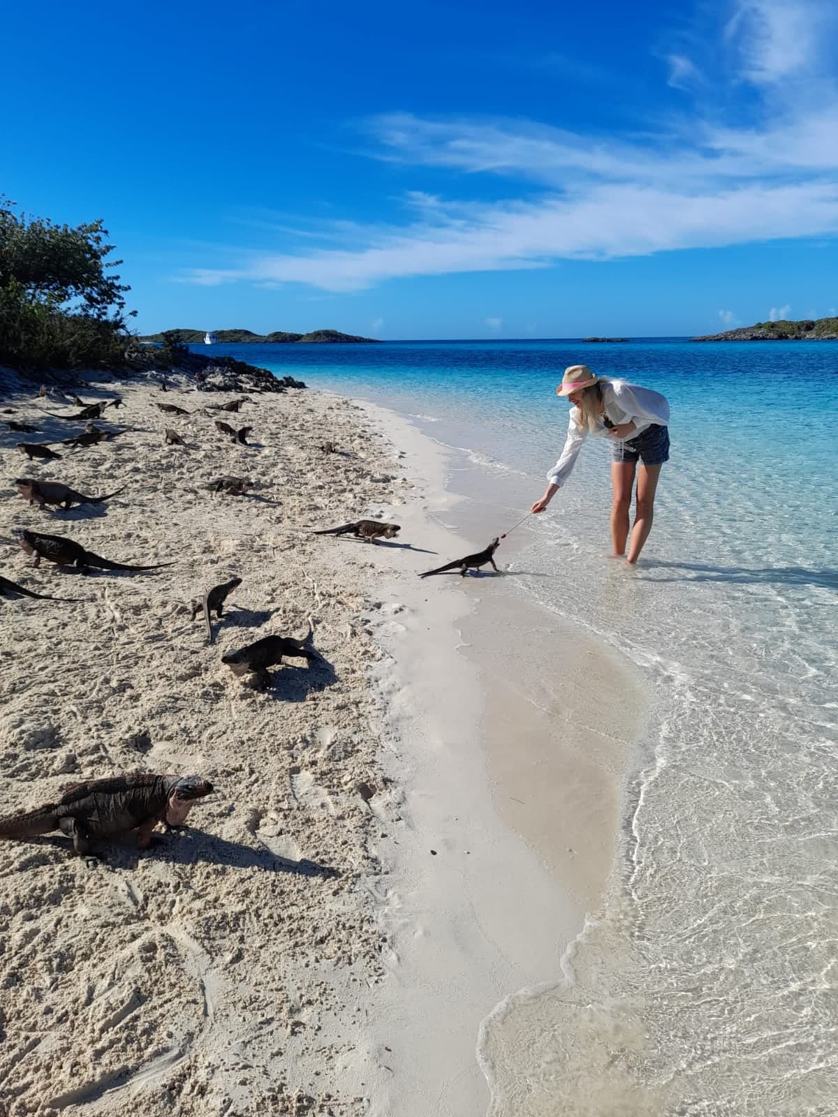 41ft Speedboat Charter to Northern Exuma — photo 37