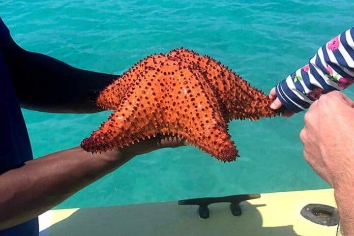 Seaside scavenger quest Turks and Caicos