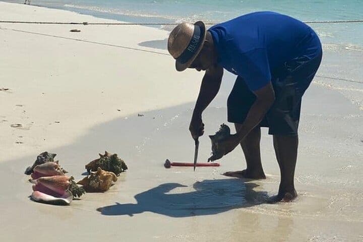Seaside scavenger quest Turks and Caicos