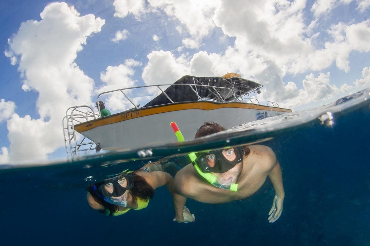 Snorkel shipwreck and iguana tour Turks and Caicos