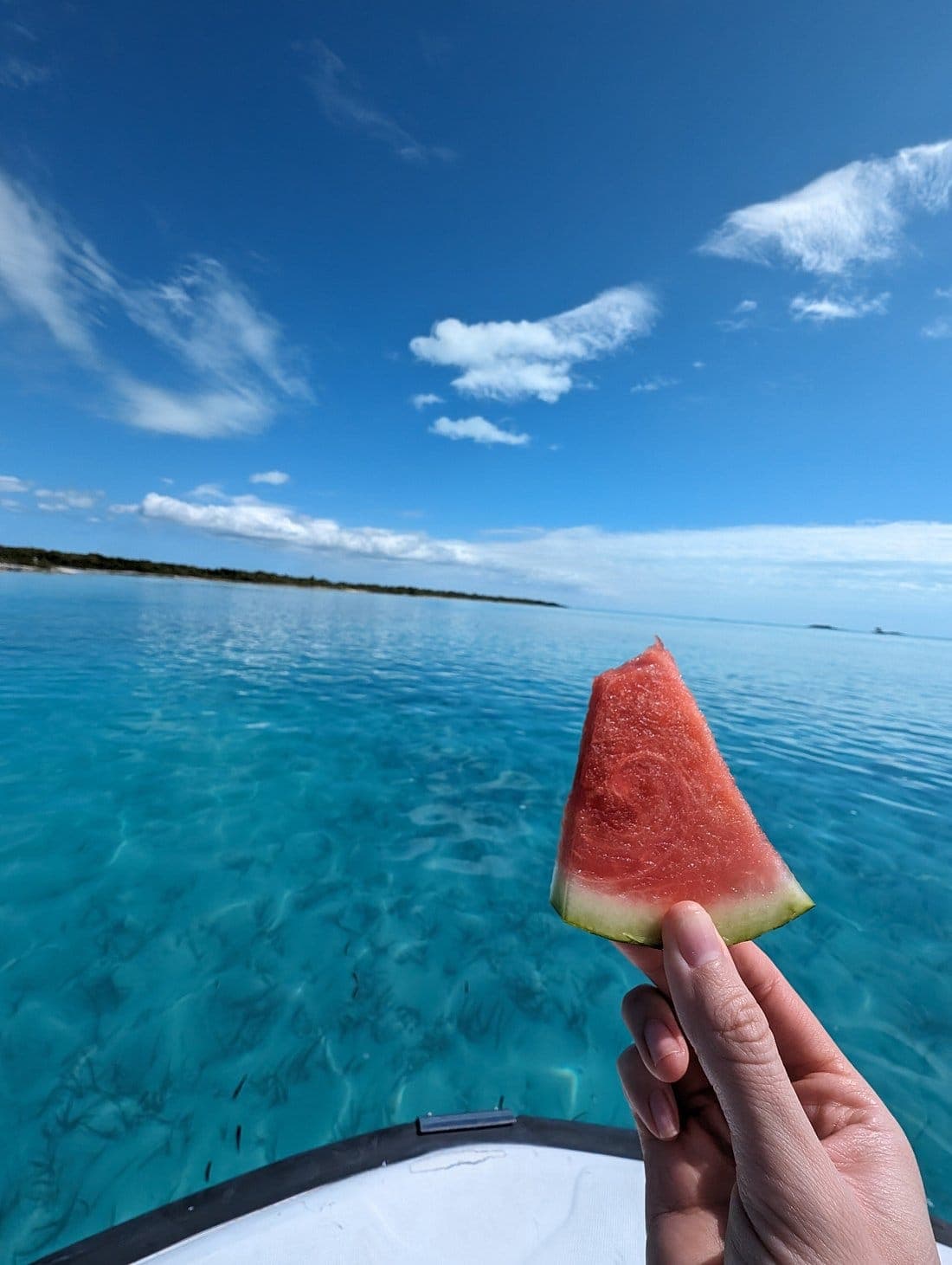 Snorkel shipwreck and iguana tour Turks and Caicos